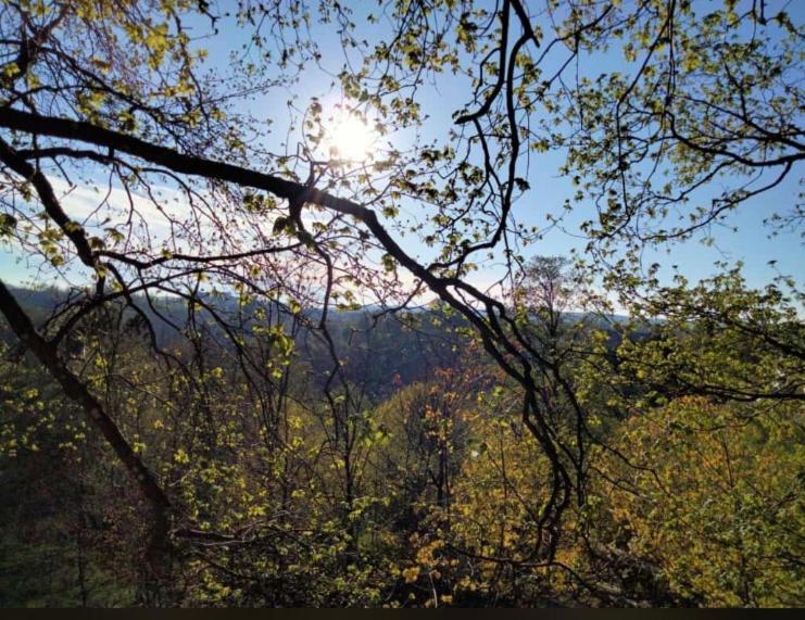 Zur Alten Zahnradbahn Apartment Sankt Andreasberg Bagian luar foto